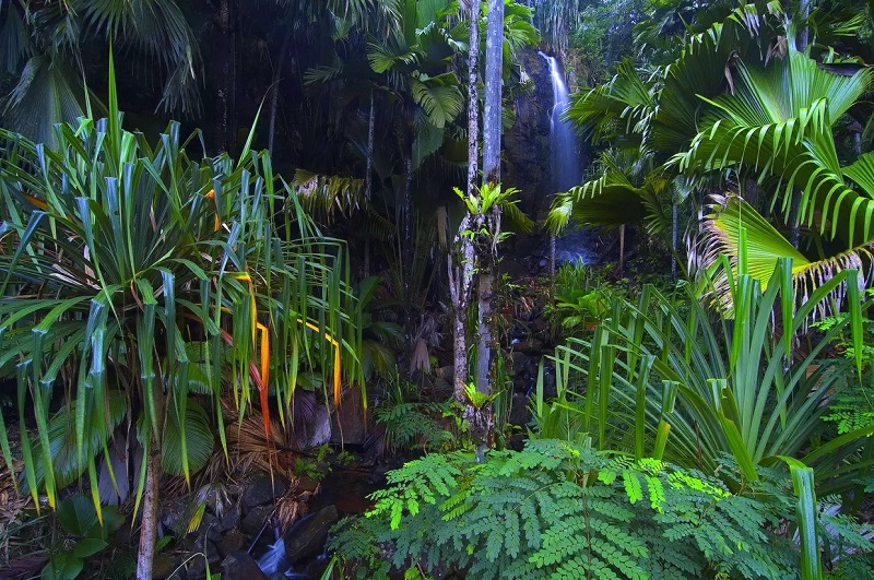 Vallée de Mai